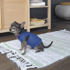 Irya-Martil Tekli Banyo Paspası %100 Pamuk 70x110 Yeşil-Paspas-3-Milagron.com