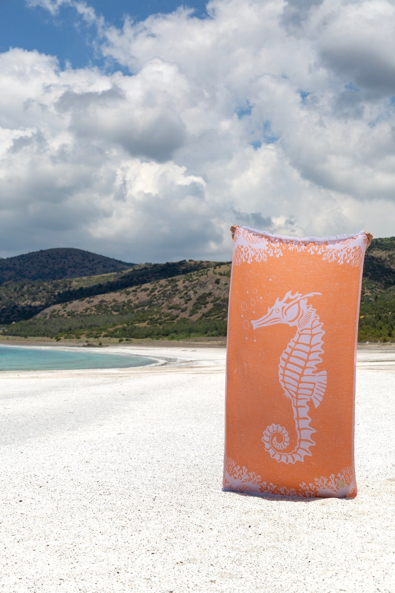 Irya-Oscar Peştamal Turuncu-Havlu & Peştamal-1-Milagron.com