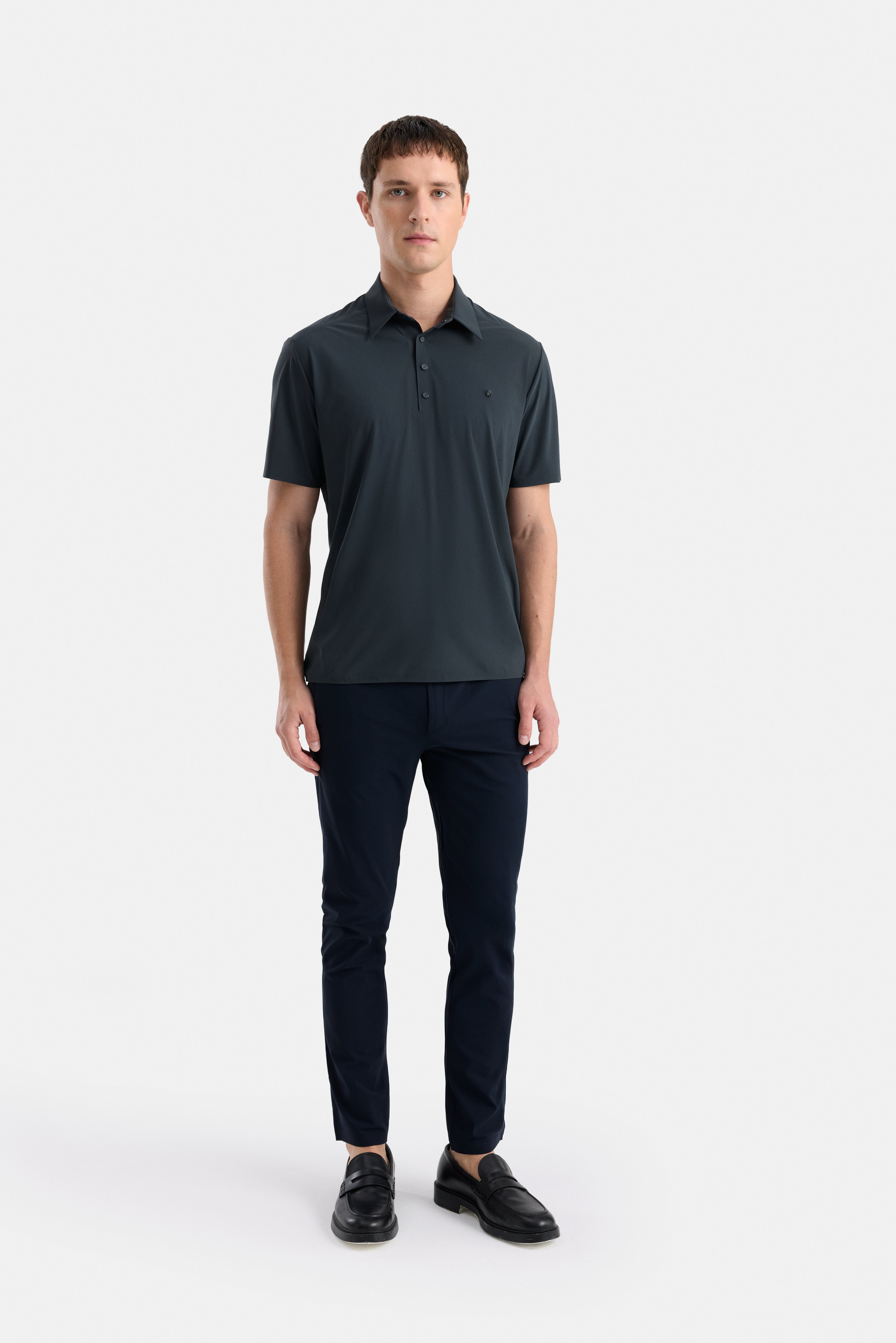 Sentient Polo V2
