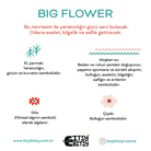Big Flower Pamuk Saten Pembe Bebek Çarşaf Seti 80X140Cm