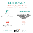 Big Flower Pembe Yıkanabilir Çocuk Halısı - 120X160Cm