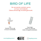 Birds Of Life Aplik Başlığı, Gri, 13.5X16Cm