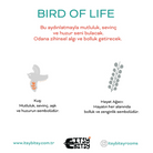 Birds Of Life Aplik Başlığı, Gri, 13.5X16Cm