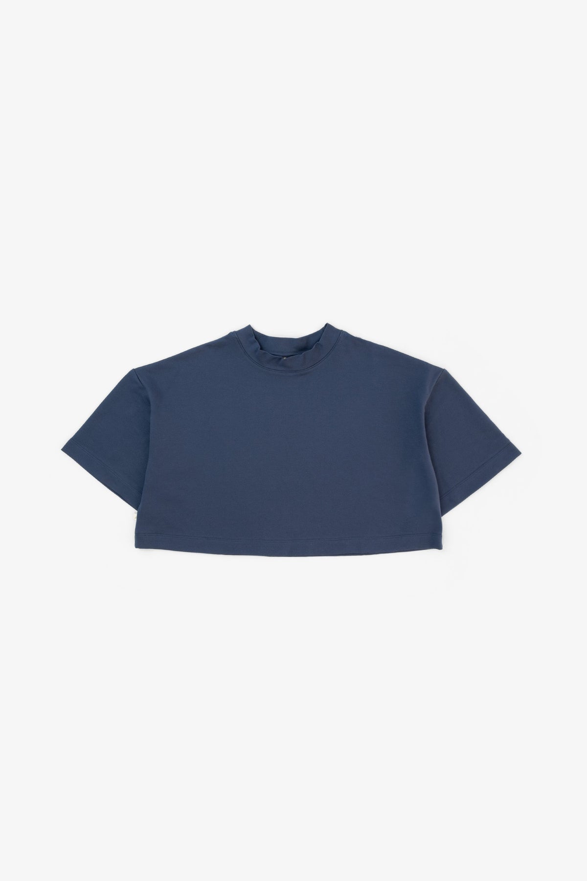 Anesha Crop Basic Tişört