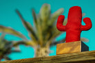 Kayıgo Cactus Lavanta Dolgulu Notluk
