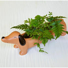 Kikkerland-Dachshund Köpek Figürlü Saksı, Porselen - 22x6x6,5 Cm-Dekoratif Saksı-3-Milagron.com