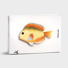 &Klevering-Gökkuşağı Renkli Balık Figürlü Tabak-Tabak-4-Milagron.com