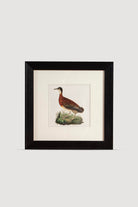 Lasttouch-Bi̇rd Serisi Tablo No: 4-Tablo-1-Milagron.com