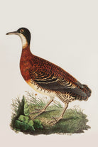 Lasttouch-Bi̇rd Serisi Tablo No: 4-Tablo-2-Milagron.com