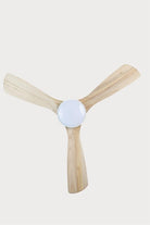 Lasttouch-Circo Aydınlatmalı Tavan Vantilatörü No:1-Aydınlatmalı Tavan Vantilatörleri-1-Milagron.com