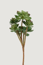Lasttouch-Dekoratif Yapay Bitki No:10-Yapay Bitki-1-Milagron.com