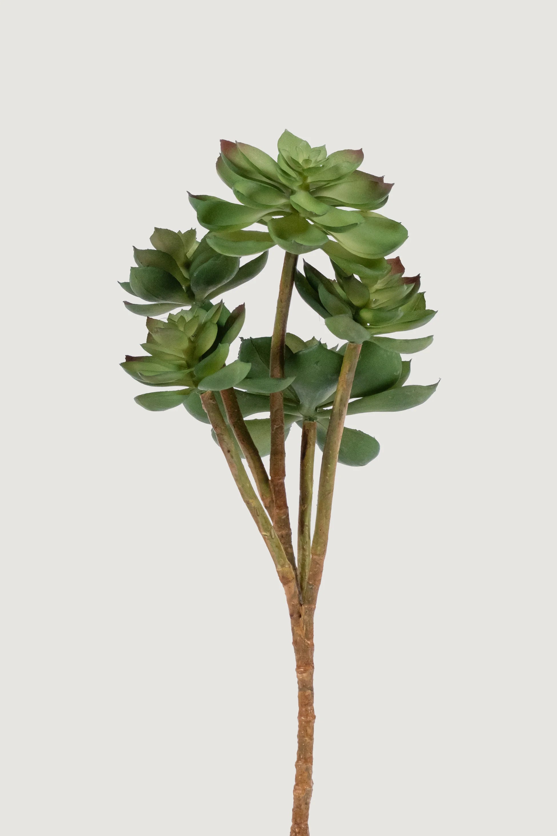 Lasttouch-Dekoratif Yapay Bitki No:10-Yapay Bitki-1-Milagron.com