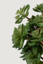 Lasttouch-Dekoratif Yapay Bitki No:10-Yapay Bitki-2-Milagron.com