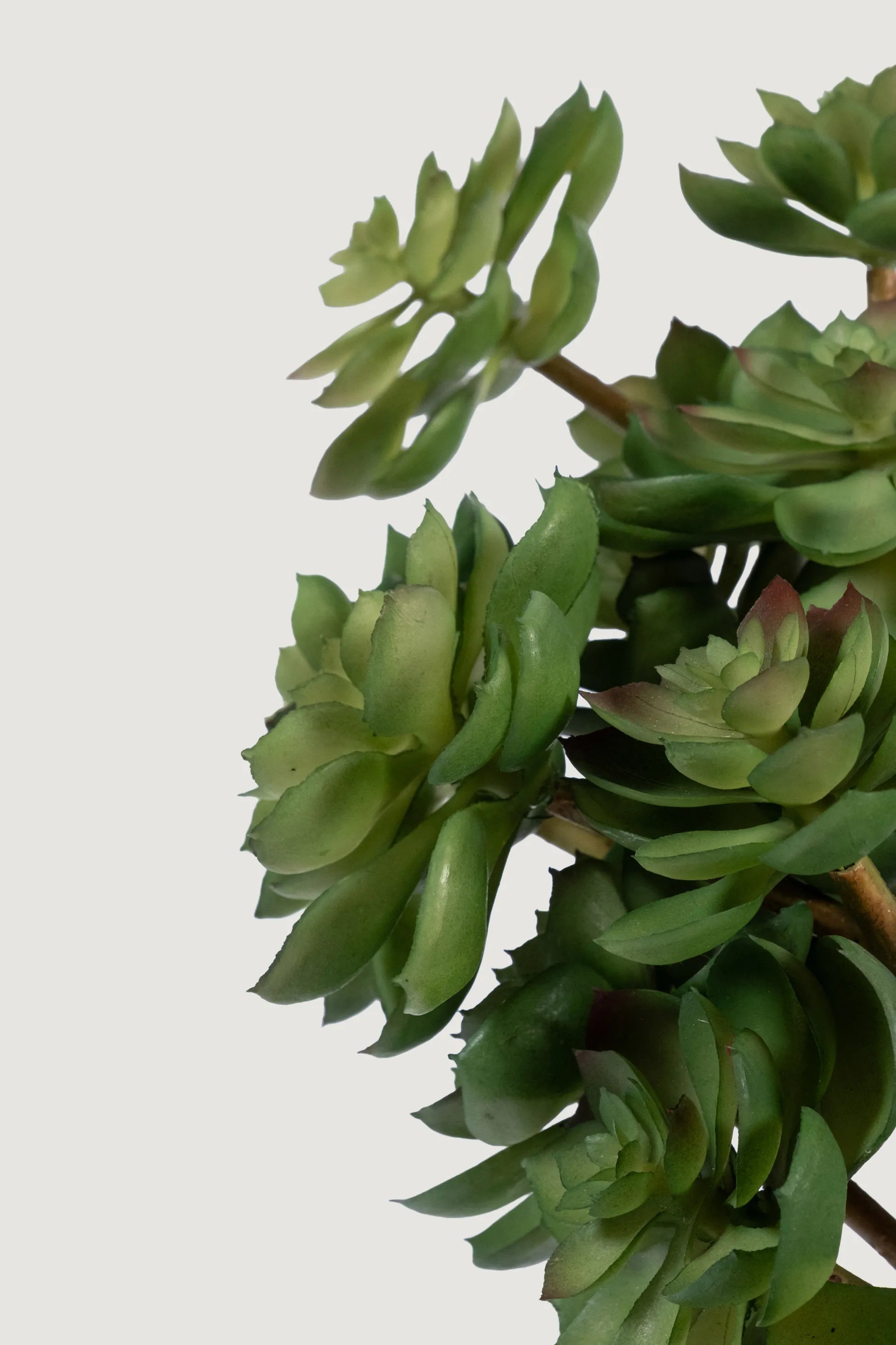 Lasttouch-Dekoratif Yapay Bitki No:10-Yapay Bitki-2-Milagron.com