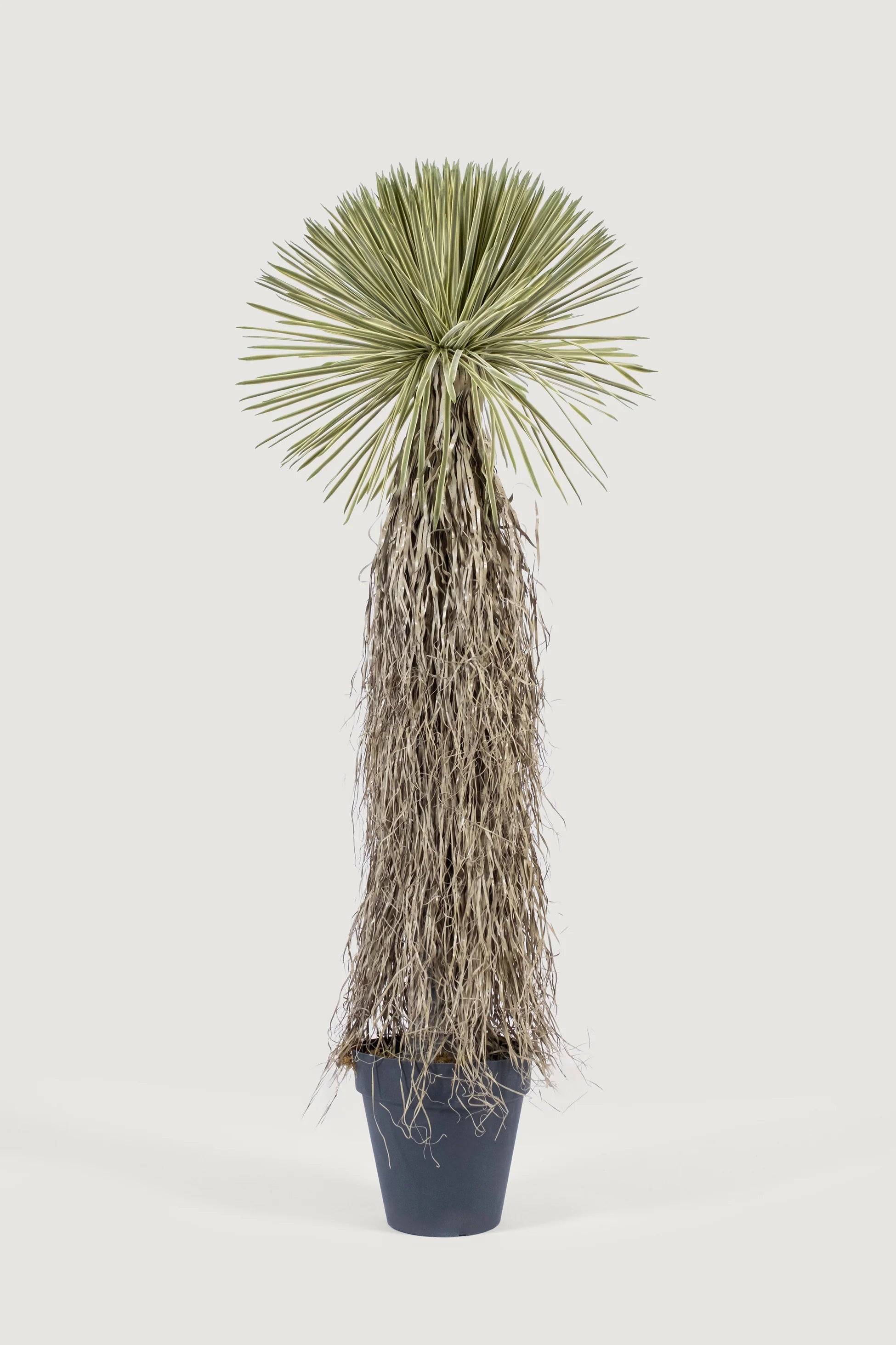 Lasttouch-Dekoratif Yapay Bitki No:12-Yapay Bitki-1-Milagron.com