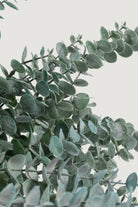 Lasttouch-Dekoratif Yapay Bitki No:4-Yapay Bitki-2-Milagron.com