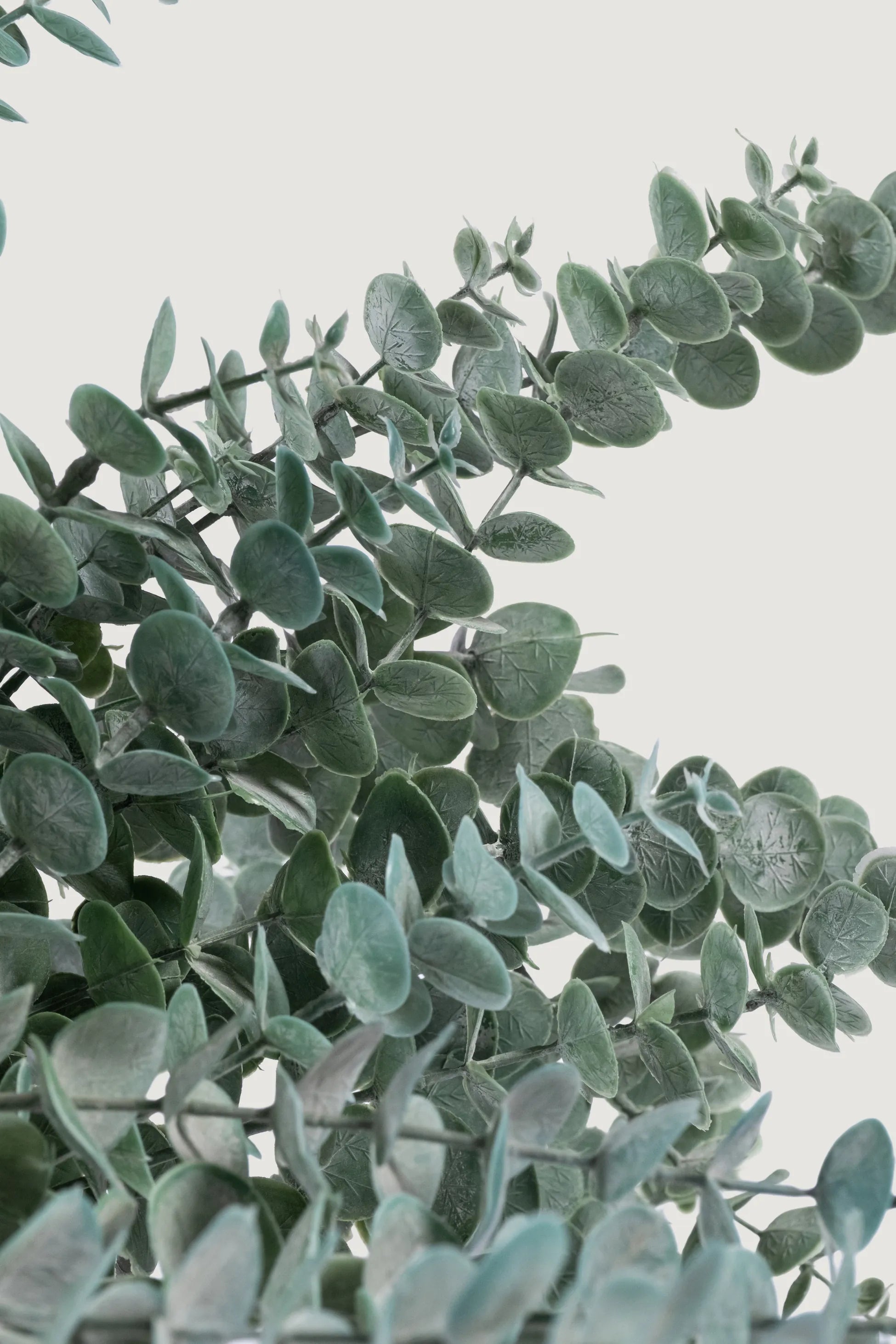 Lasttouch-Dekoratif Yapay Bitki No:4-Yapay Bitki-2-Milagron.com