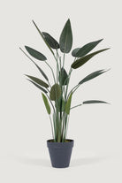 Lasttouch-Dekoratif Yapay Bitki No:8-Yapay Bitki-1-Milagron.com