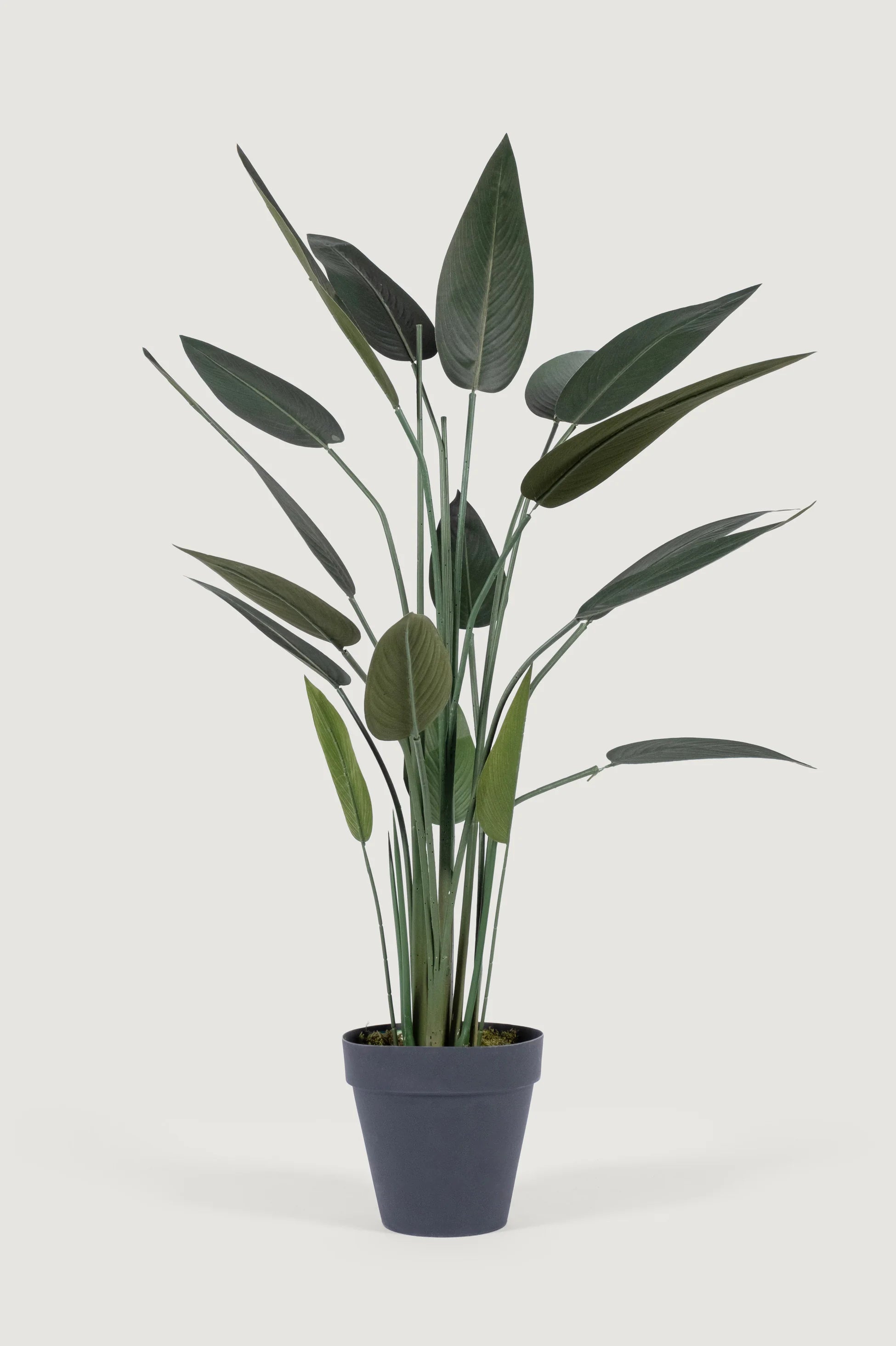 Lasttouch-Dekoratif Yapay Bitki No:8-Yapay Bitki-1-Milagron.com