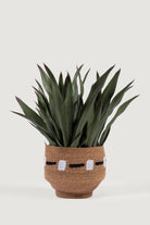 Lasttouch-Dekoratif Yapay Bitki No:9-Yapay Bitki-3-Milagron.com