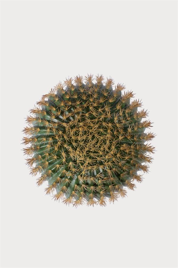 Lasttouch-Kaktüs No:2-Yapay Bitki-3-Milagron.com