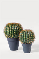 Lasttouch-Kaktüs Set-Yapay Bitki-1-Milagron.com