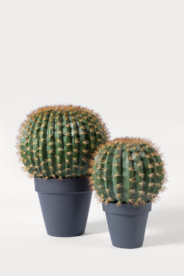 Lasttouch-Kaktüs Set-Yapay Bitki-1-Milagron.com