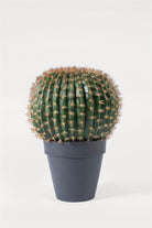 Lasttouch-Kaktüs Set-Yapay Bitki-2-Milagron.com