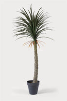 Lasttouch-Luna Palm-Yapay Bitki-1-Milagron.com