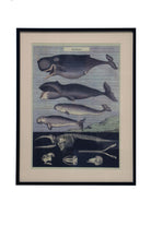 Lasttouch-No:1-Tablo-1-Milagron.com