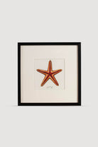 Lasttouch-Ocean Serisi Tablo No : 3-Tablo-1-Milagron.com