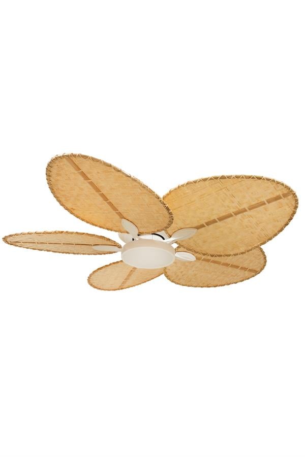 Lasttouch-Robin Aydınlatmalı Tavan Vantilatörü No:3-Aydınlatmalı Tavan Vantilatörleri-2-Milagron.com