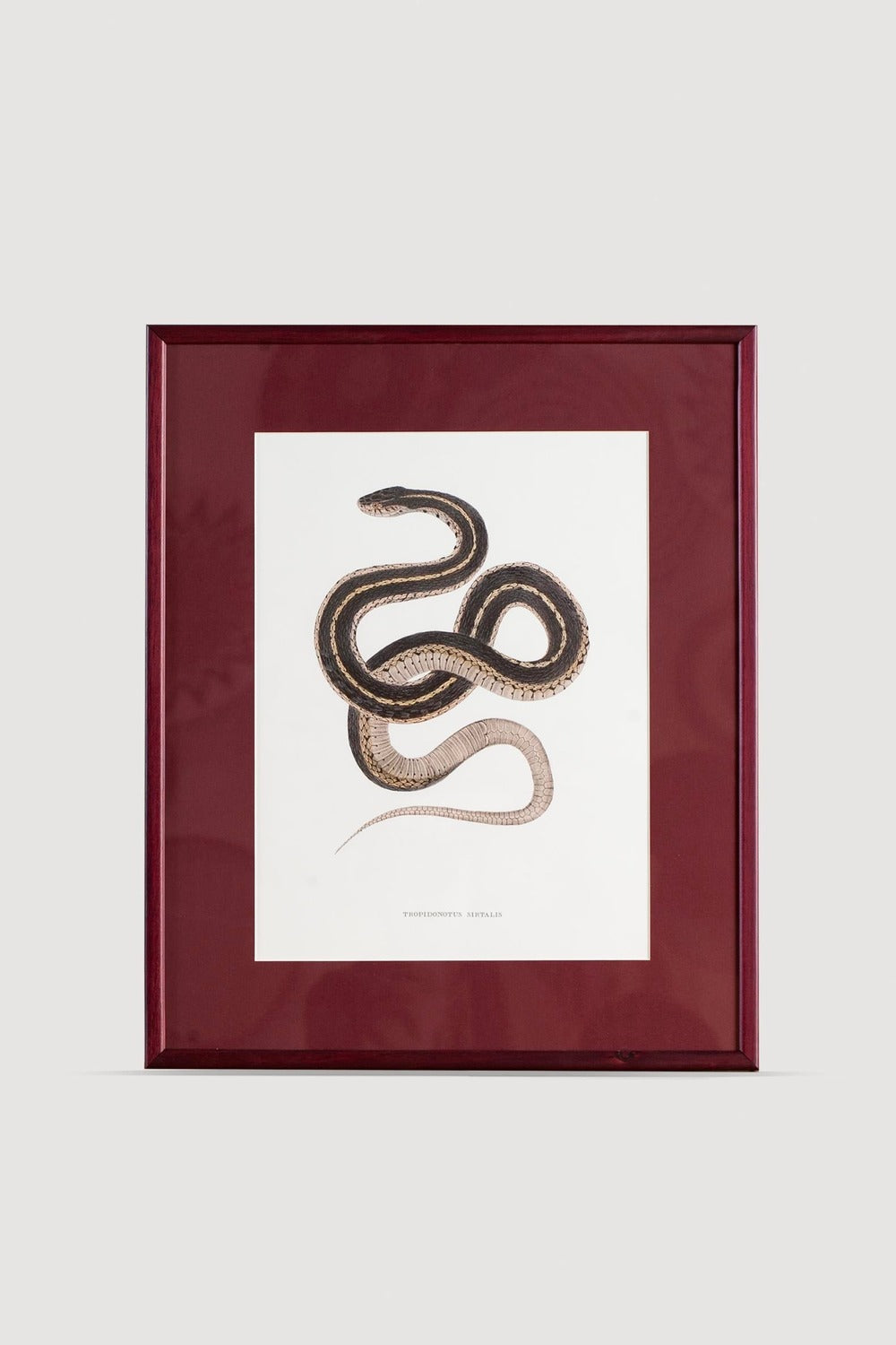 Lasttouch-Serpent Serisi Tablo No:3-Tablo-1-Milagron.com