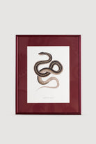 Lasttouch-Serpent Serisi Tablo No:3-Tablo-1-Milagron.com