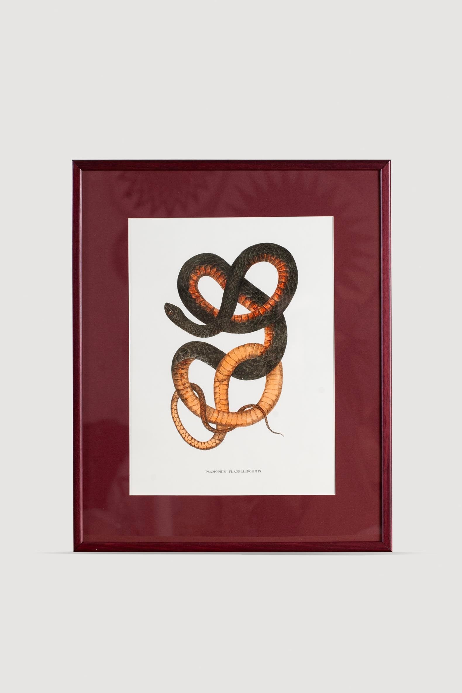 Lasttouch-Serpent Serisi Tablo No:4-Tablo-1-Milagron.com