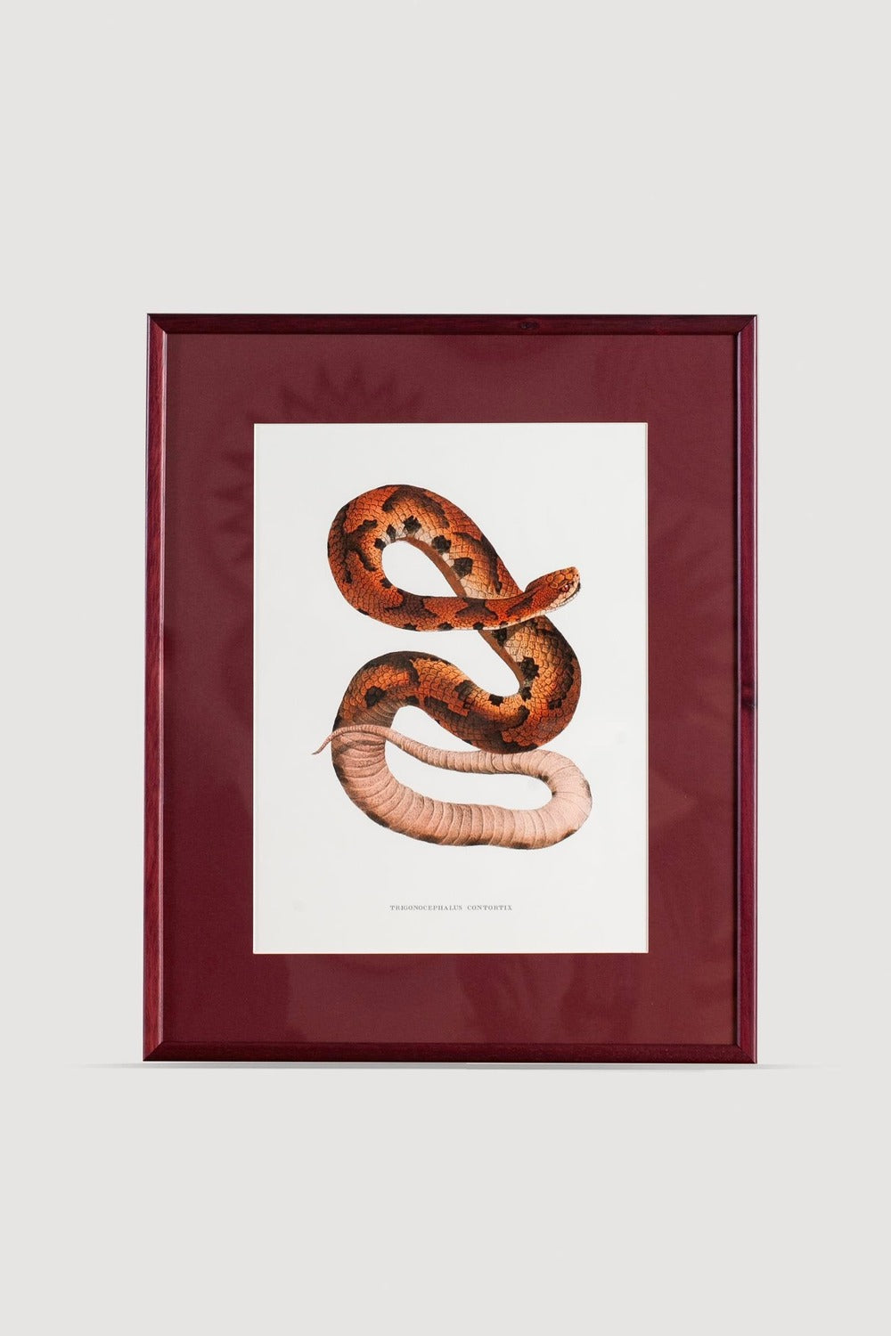 Lasttouch-Serpent Serisi Tablo No:6-Tablo-1-Milagron.com