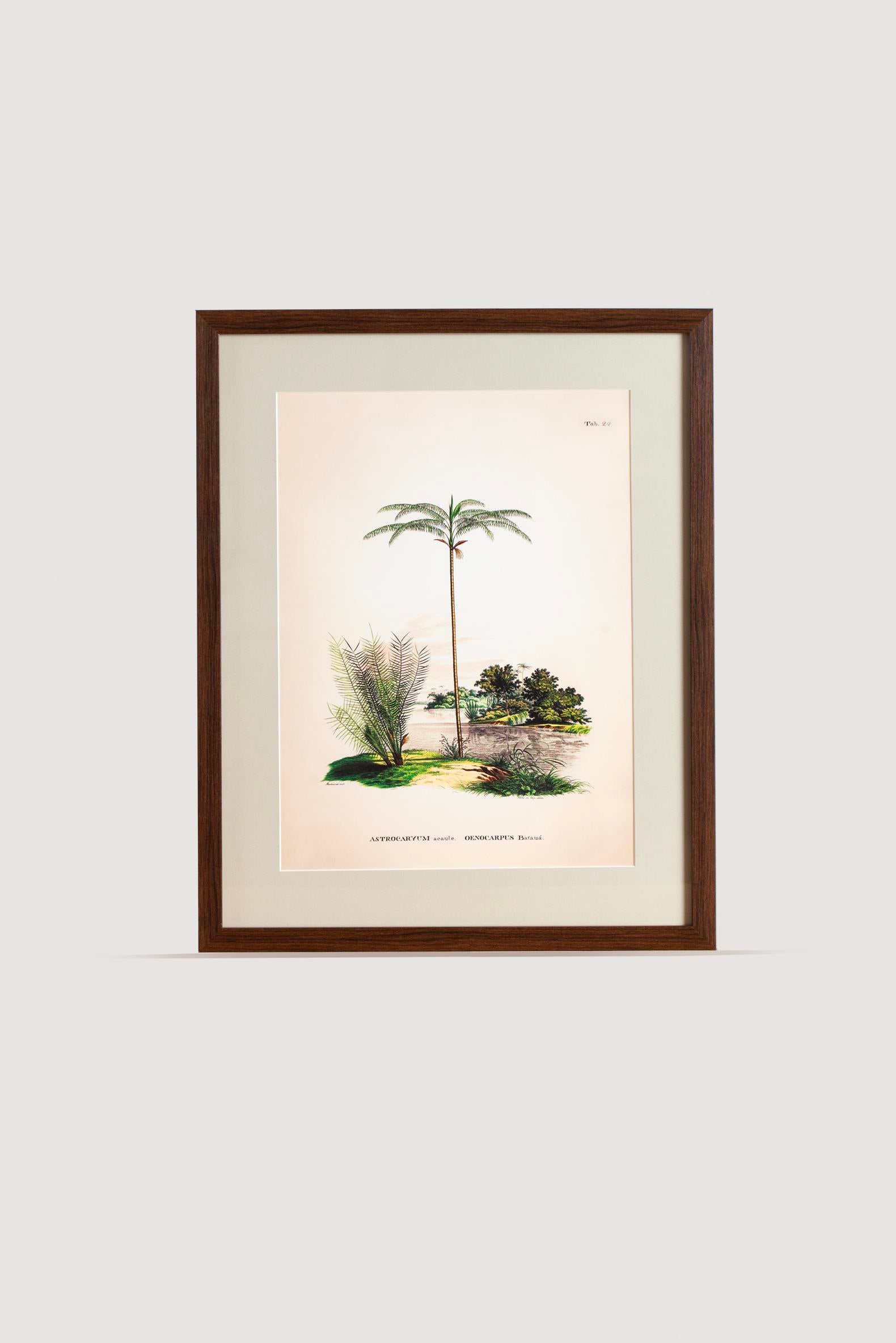 Lasttouch-Tropical Serisi Tablo No:1-Tablo-1-Milagron.com