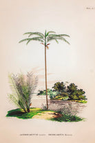 Lasttouch-Tropical Serisi Tablo No:1-Tablo-2-Milagron.com