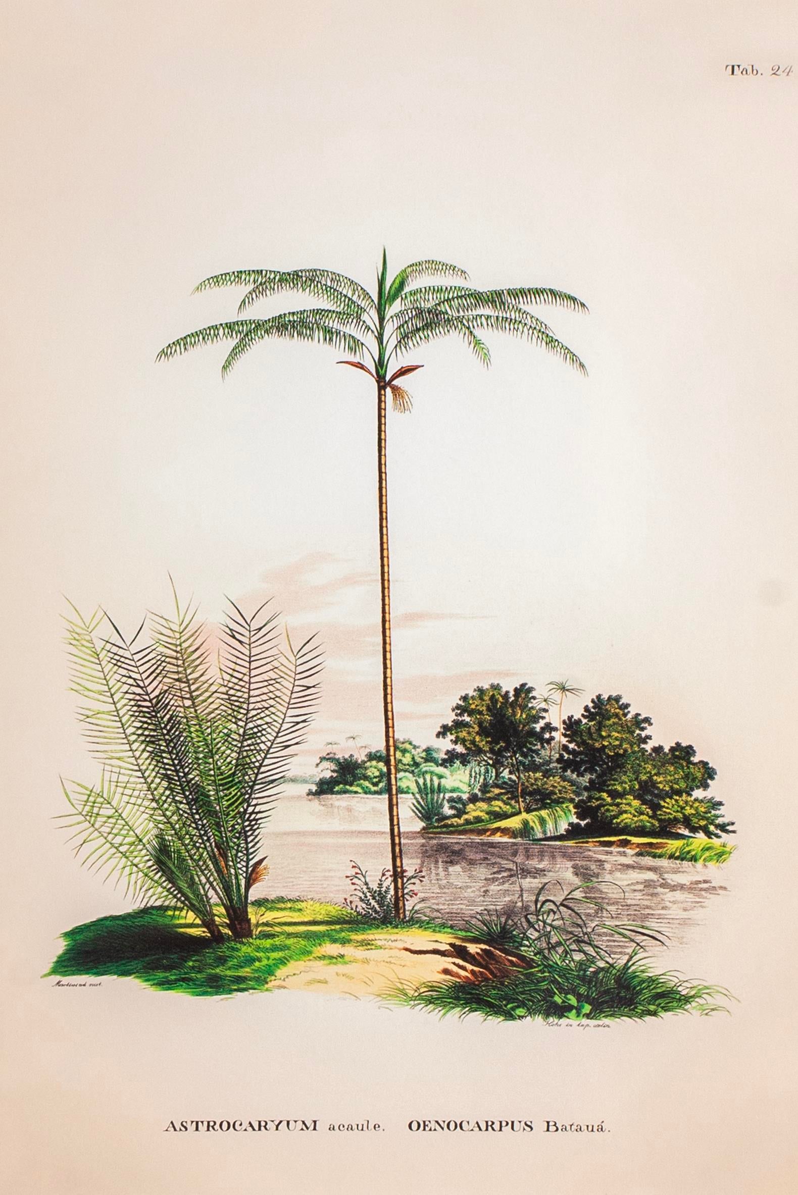 Lasttouch-Tropical Serisi Tablo No:1-Tablo-2-Milagron.com