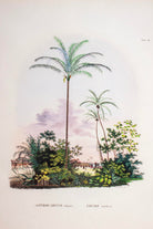 Lasttouch-Tropical Serisi Tablo No:3-Tablo-2-Milagron.com