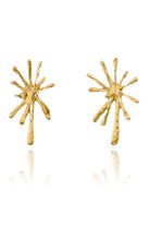 Linya Jewellery-Dera Büyük Küpe-Küpe-1-Milagron.com