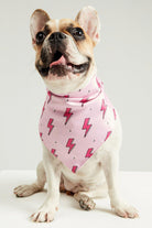 Little Monsters-Pink Flash Bandana-Köpek-1-Milagron.com