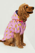 Little Monsters-Pink Flash Yağmurluk-Köpek-3-Milagron.com