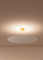 Millimetro 1L Plafonyer Pi̇ri̇nç Ø50 H23 Cm Led