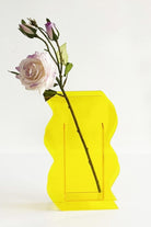 Lujolab.-Pleksi Vazo-Vazo-1-Milagron.com