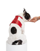 Bijou Dog Harness