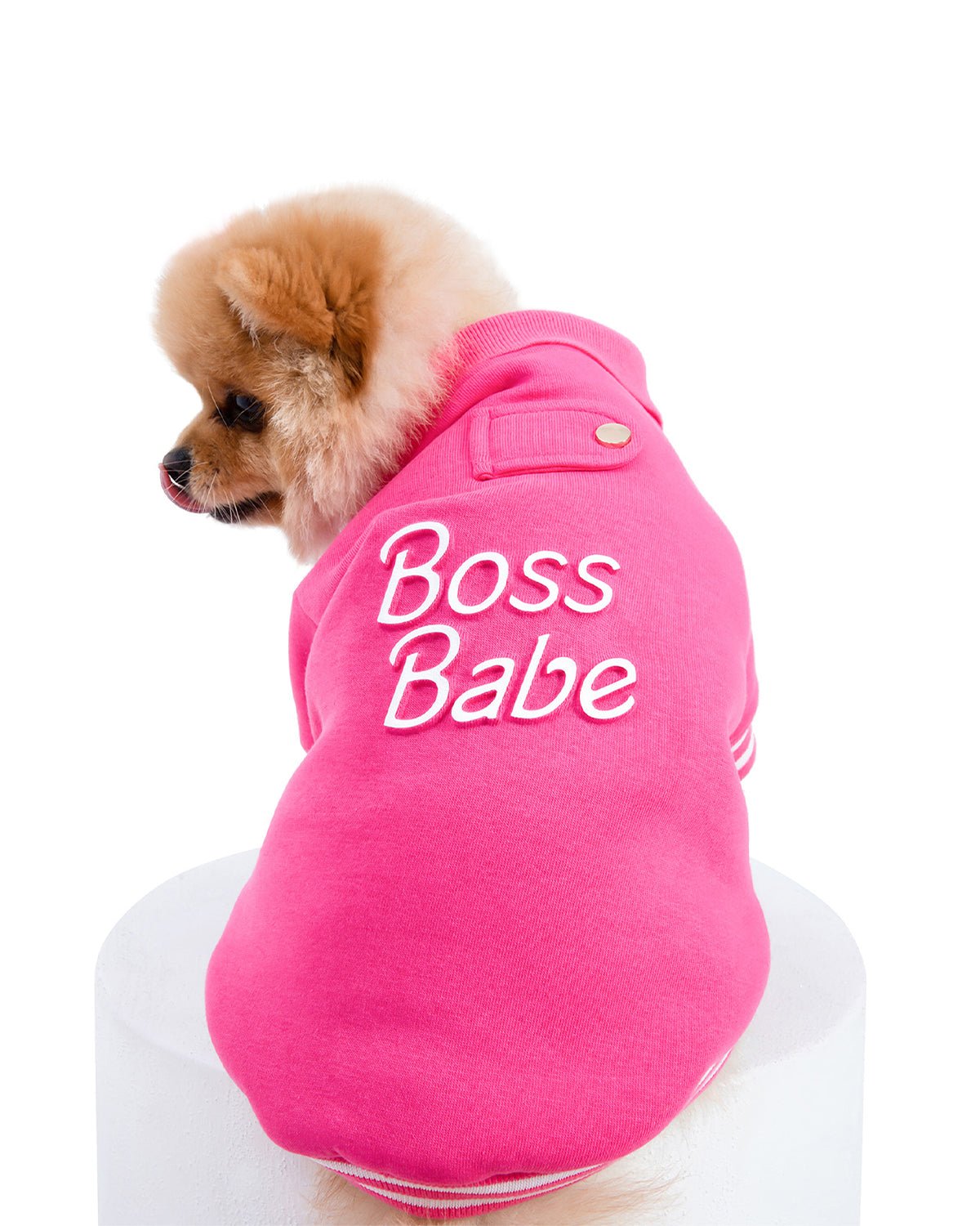 Boss Babe Dog Sweatshirt — Paris Hilton × Moshiqa Pink Luxury Dog Sweatshirt
