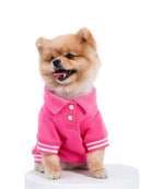 Boss Babe Dog Sweatshirt — Paris Hilton × Moshiqa Pink Luxury Dog Sweatshirt