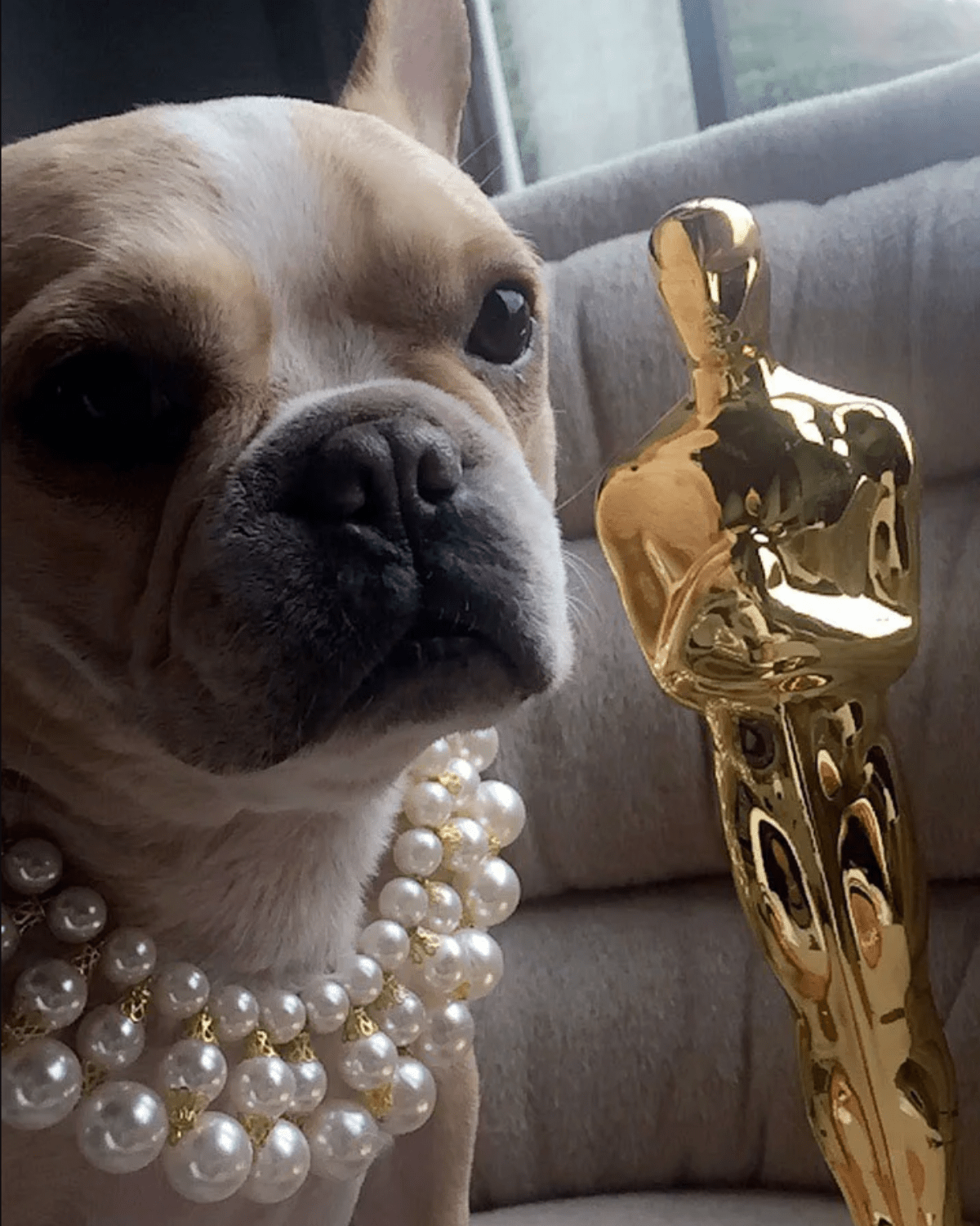 Dubai Dog Necklace