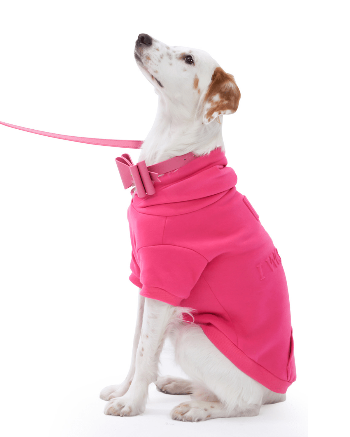 I Woof U Dog Hoodie — Paris Hilton × Moshiqa Matching Dog & Owner Hoodie